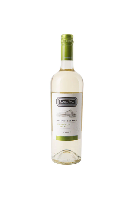 Santa Ema Sauvignon Blanc Reserva Terroir 2024